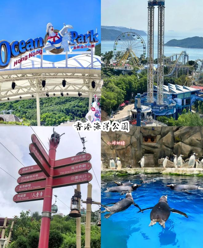 港澳四日游景点推荐攻略：这些景点不容错过爱游戏app网站手机版港澳四日游路线规划(图7)