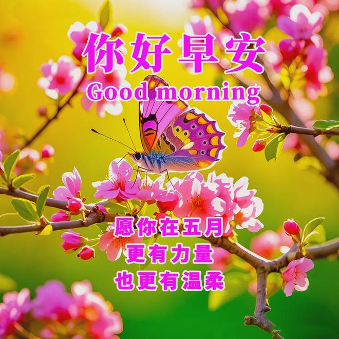 美语录句子4月再见5月你好图片最新版爱游戏app5月你好朋友圈正能量唯(图2)