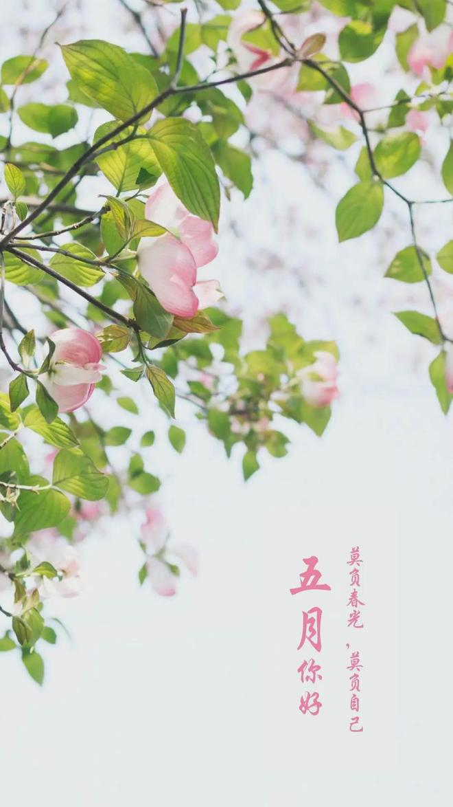 美语录句子4月再见5月你好图片最新版爱游戏app5月你好朋友圈正能量唯(图5)